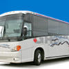 greyhound-image