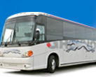 Click to enlarge greyhound-image