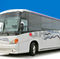 greyhound-image