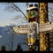 totem-poles-stanley-park