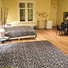 amsterdam-park-holiday-rooms