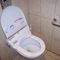 themed-trips-toilet