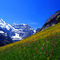 swiss-apls-switzerland.jpg