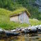 upwards-northwards-Reine