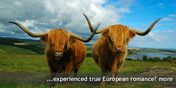Hairy Coo Scotland