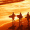 san-diego-surf